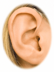 Mini Behind the ear hearing aid